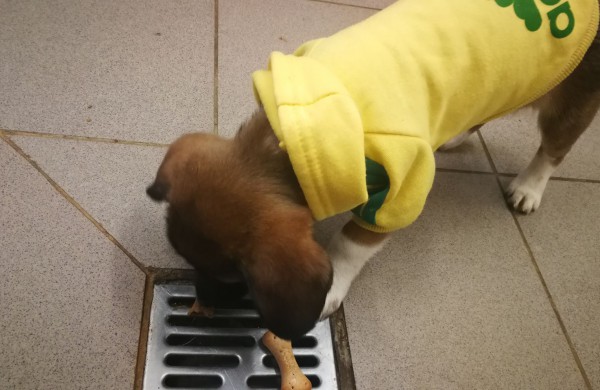 Žmonės "iš pašaukimo" - jiems jau vieneri !