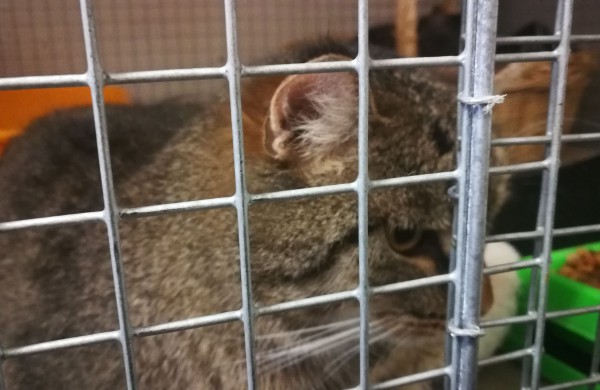 Žmonės "iš pašaukimo" - jiems jau vieneri !