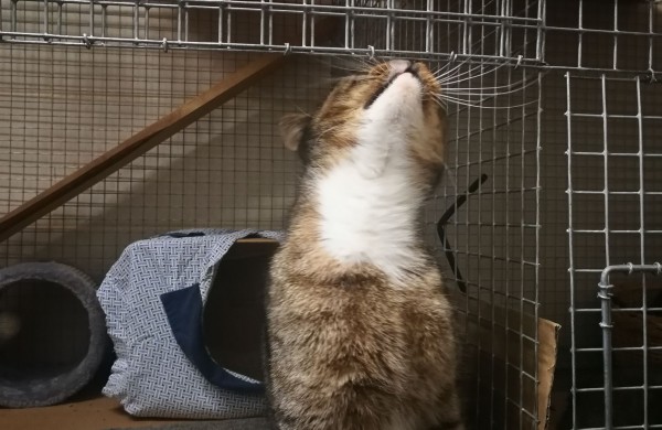 Žmonės "iš pašaukimo" - jiems jau vieneri !