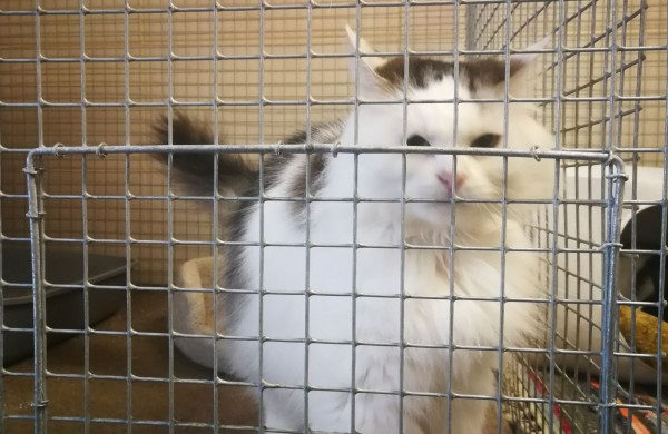 Žmonės "iš pašaukimo" - jiems jau vieneri !