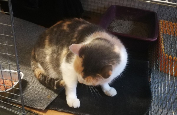 Žmonės "iš pašaukimo" - jiems jau vieneri !