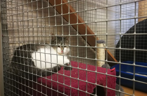 Žmonės "iš pašaukimo" - jiems jau vieneri !