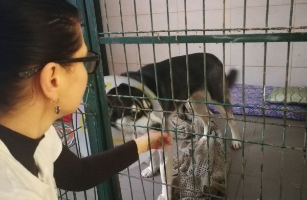 Žmonės "iš pašaukimo" - jiems jau vieneri !