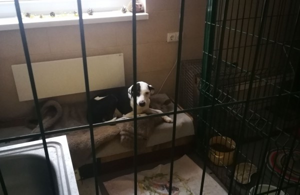 Žmonės "iš pašaukimo" - jiems jau vieneri !