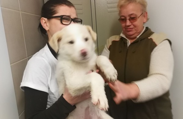 Žmonės "iš pašaukimo" - jiems jau vieneri !