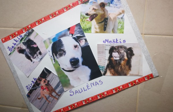 Žmonės "iš pašaukimo" - jiems jau vieneri !