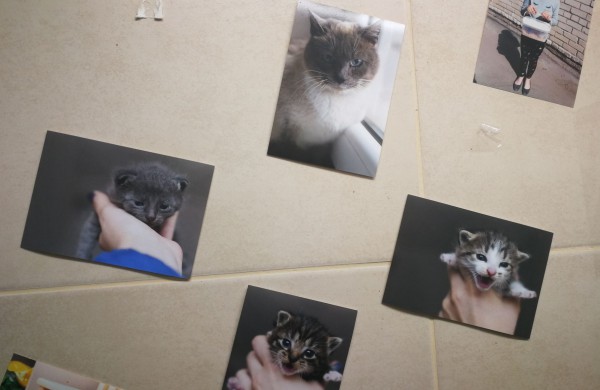 Žmonės "iš pašaukimo" - jiems jau vieneri !