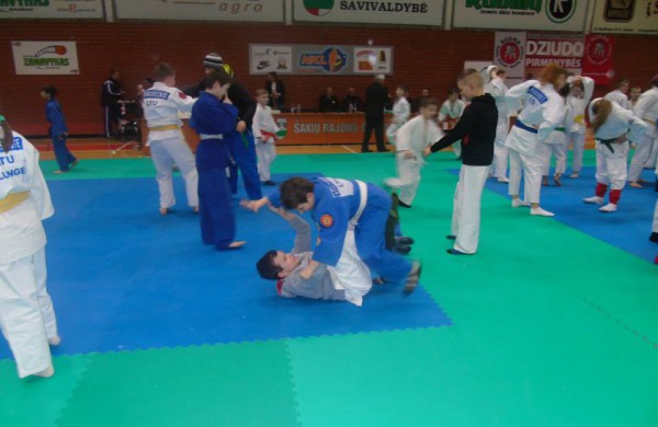 Tarptautinėse varžybose Jonavos dziudistų apdovanojimai