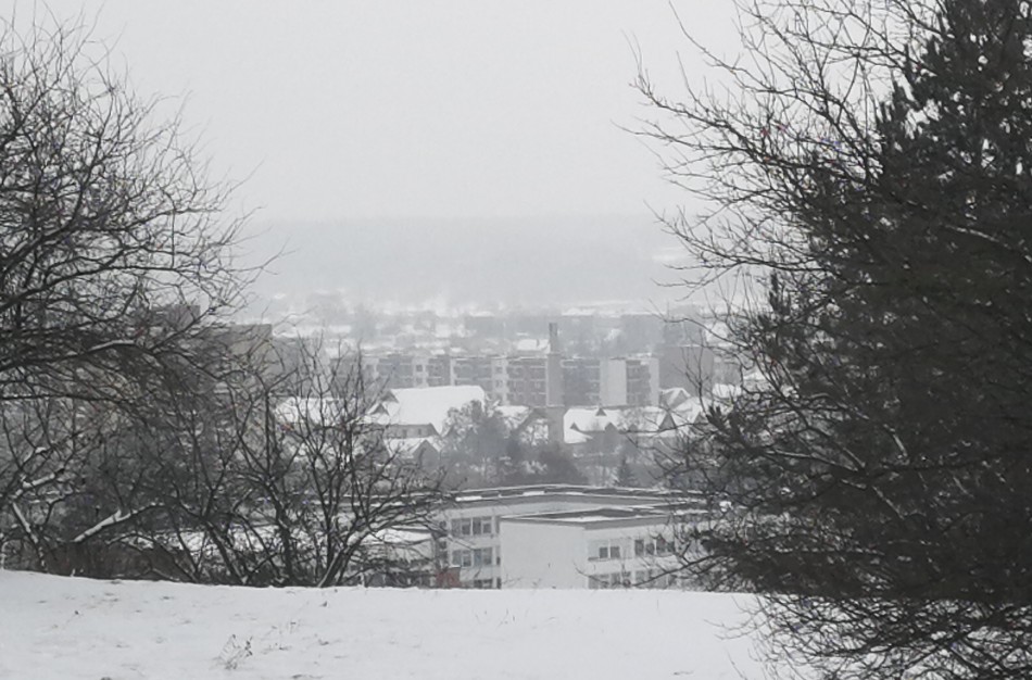 Apklausos duomenys: Ar gerai Jonavos mieste valomi keliai ir šaligatviai? 