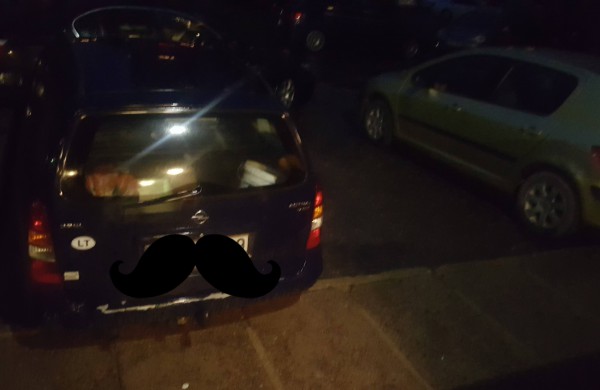 Gal jau dabar pradėti rūpintis automobilių aikštelės ženklinimu?