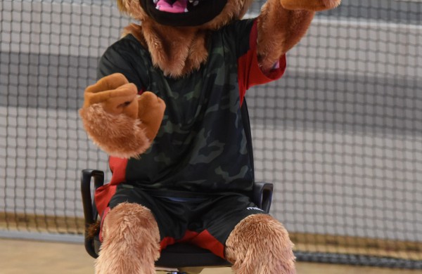 Šeštadienį Jonavoje - sporto talismanų varžybos Lietuva vs. Pasaulis