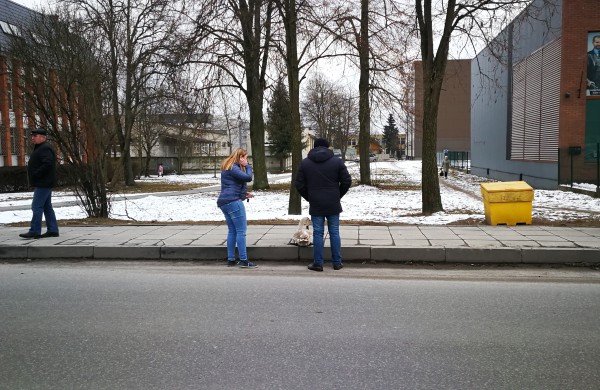 Gulbės jauniklio gelbėjimas