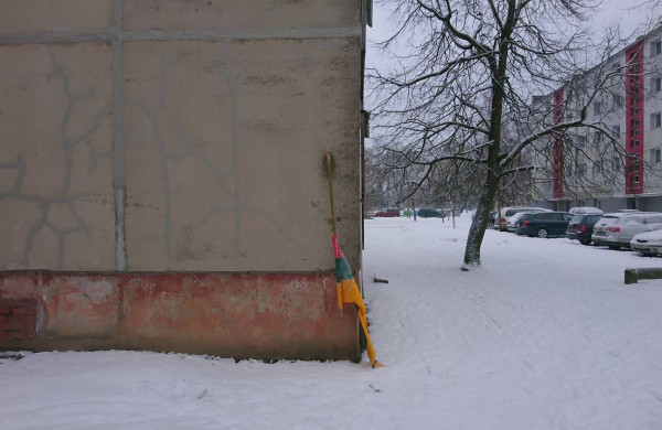 Valstybės simbolio išniekinimas – kas gresia? 