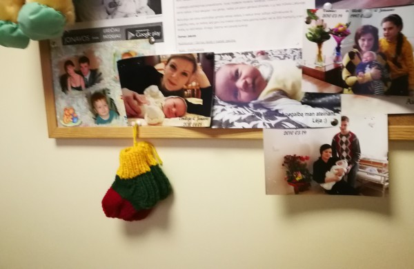 Vasario šventės – ką atnešė gandrai?