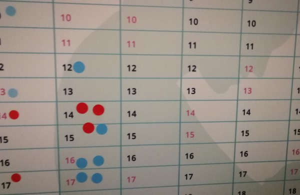 Vasario šventės – ką atnešė gandrai?