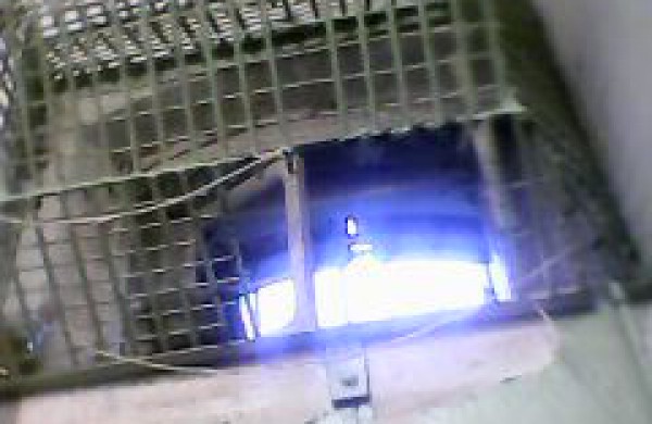 Kas naujo įkalinimo įstaigoje!?