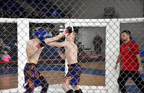 Sporto arenoje grumiasi MMA kovotojai