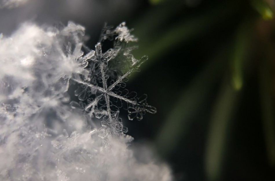 Dideli šalčiai gali pakoreguoti mokymo įstaigų darbą