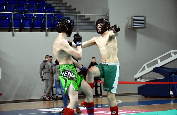 MMA kovos: intriga, kraujas, apdovanojimai