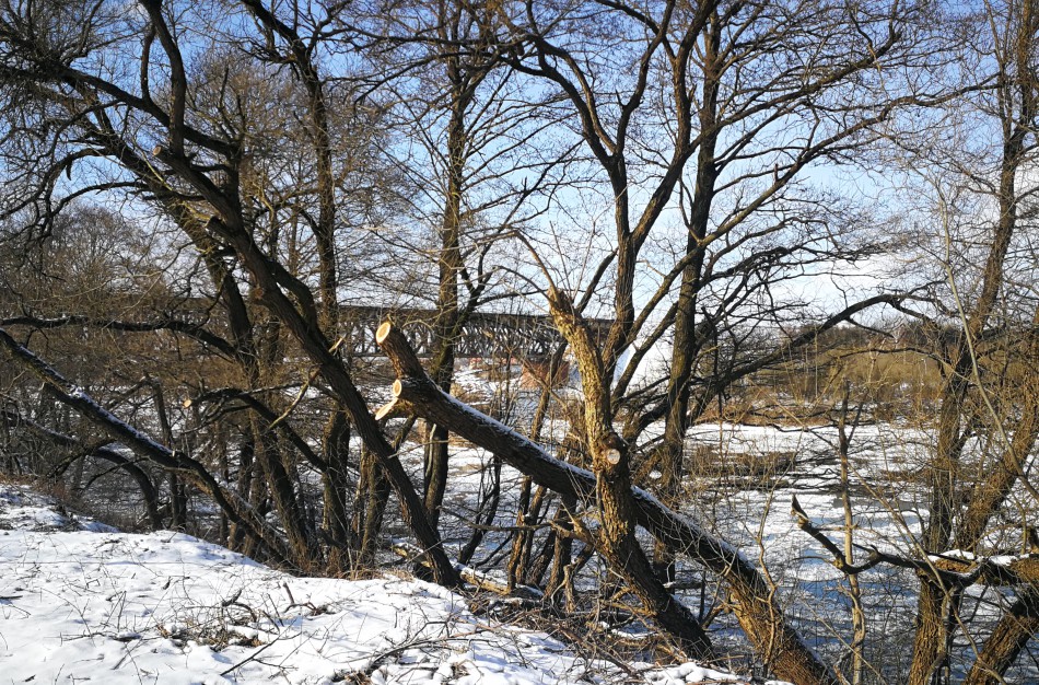 Parengtas Želdynų įstatymo projektas, jį patvirtinus, Jonavoje mažai kas pasikeis
