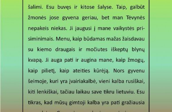 Bukonių mokykla - daugiafunkcis centras: „Mes tikrai mylim Lietuvą“