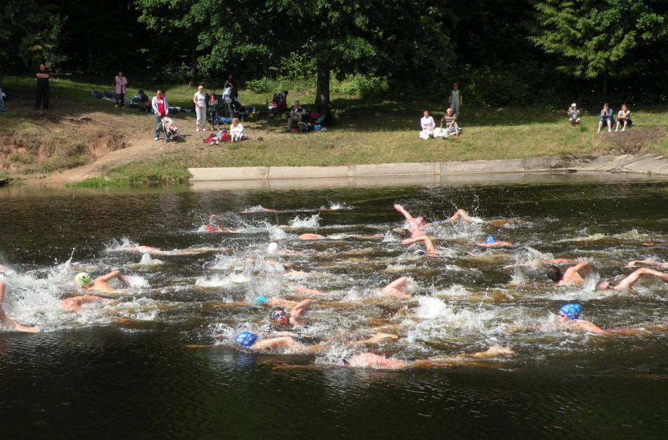 Plaukimo varžybose Šveicarijoje aidės šūviai