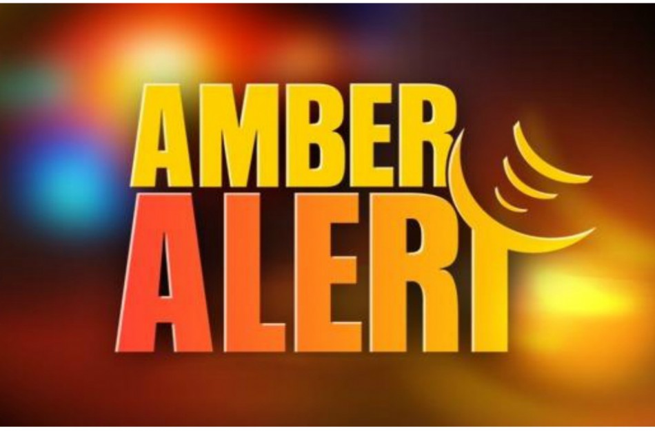 Prezidentė paleis „Facebook“ sistemą dingusiems vaikams surasti