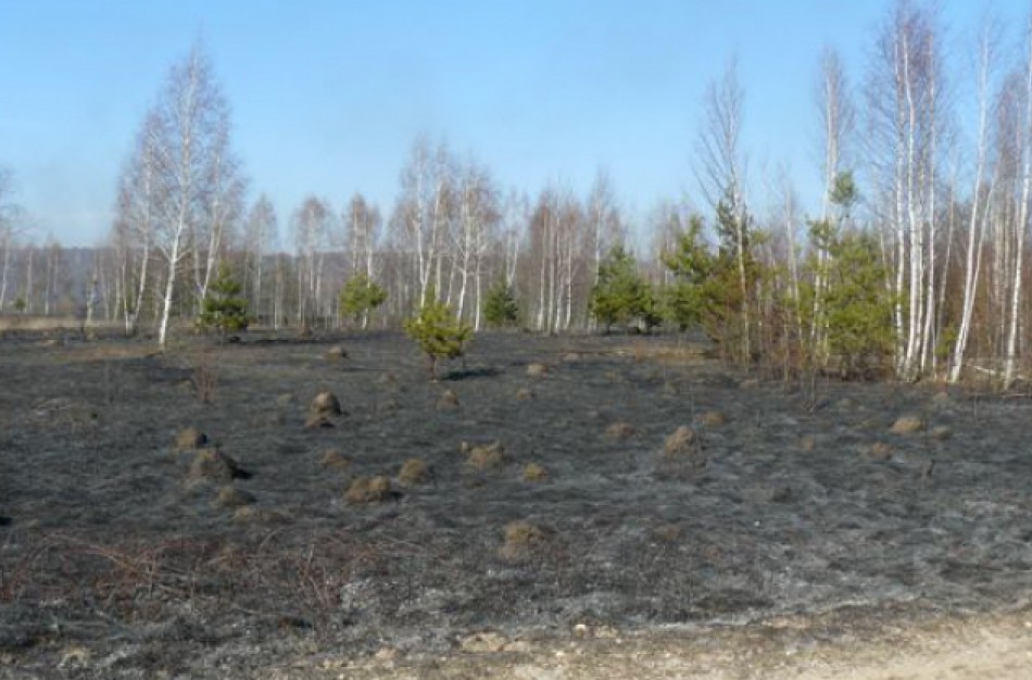 Prasidėjo pavasarinis žolės degintojų „sezonas“