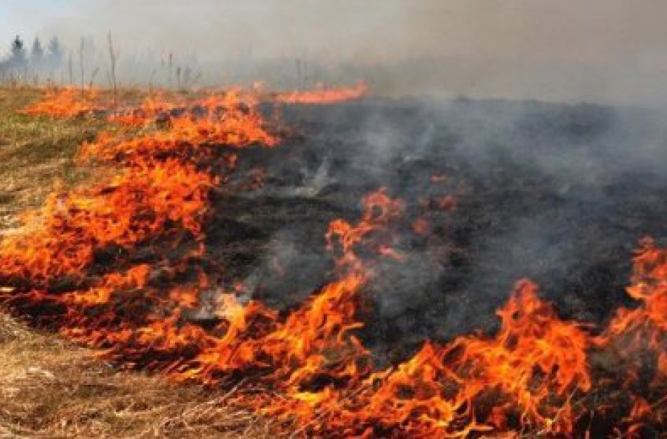 Ir vėl deginama pernykštė žolė ir žaliosios atliekos