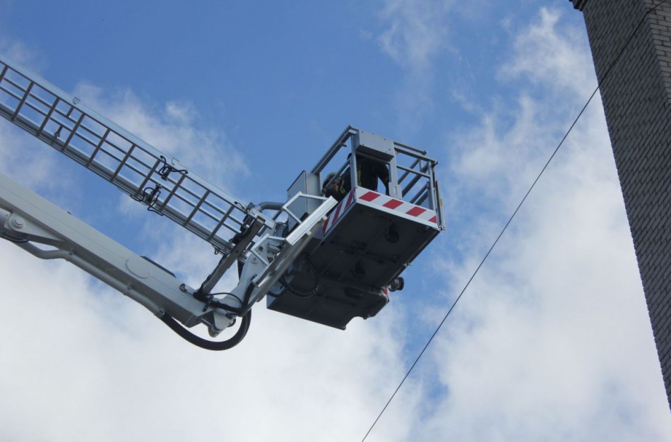 Degantis miškas poligone, katinas medyje ir pavasarinis tvarkymasis 