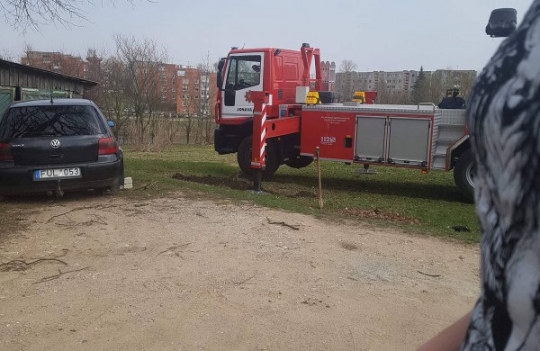 Degantis miškas poligone, katinas medyje ir pavasarinis tvarkymasis 