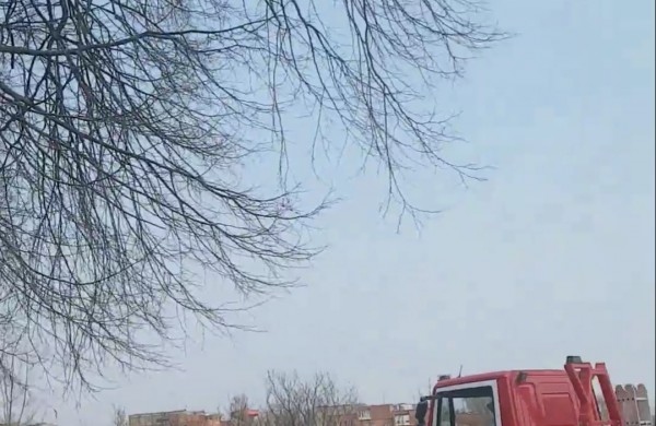 Degantis miškas poligone, katinas medyje ir pavasarinis tvarkymasis 