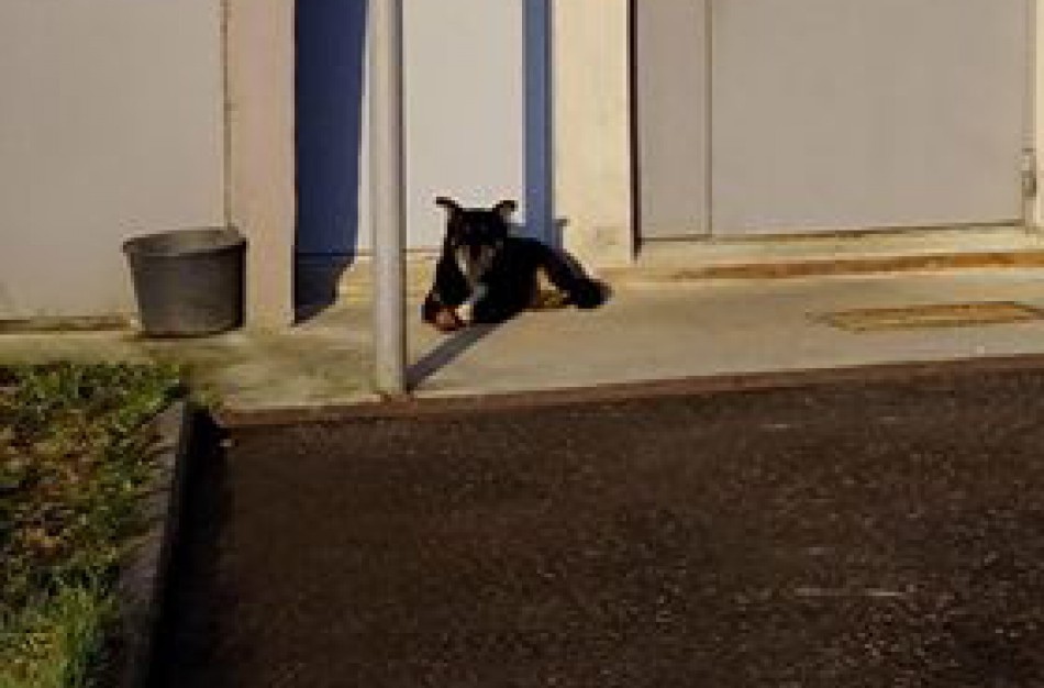 Panerių g. gyventojai: „Gyvenimas po balkonu – ar ilgai taip tęsis?“