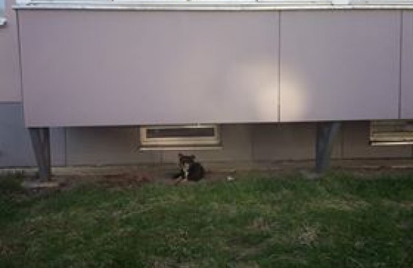 Panerių g. gyventojai: „Gyvenimas po balkonu – ar ilgai taip tęsis?“