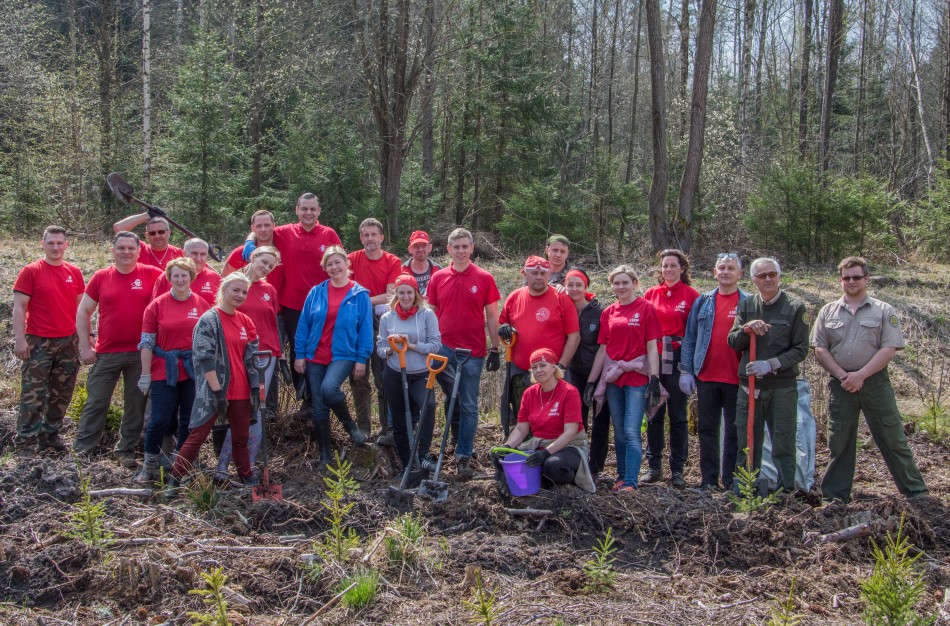 Lietuvos šimtmečiui – šimtas arų eglių jaunuolyno