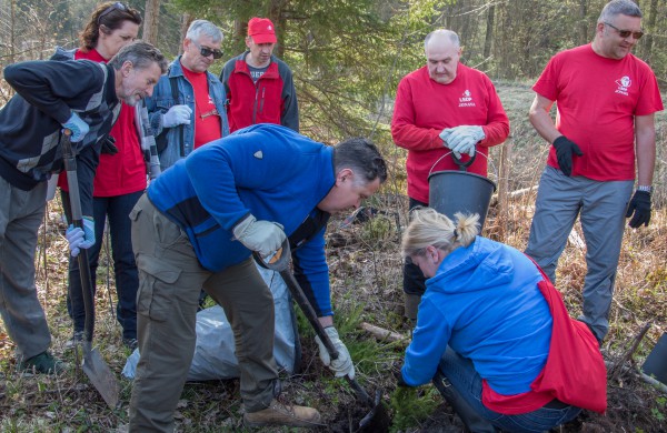 Lietuvos šimtmečiui – šimtas arų eglių jaunuolyno