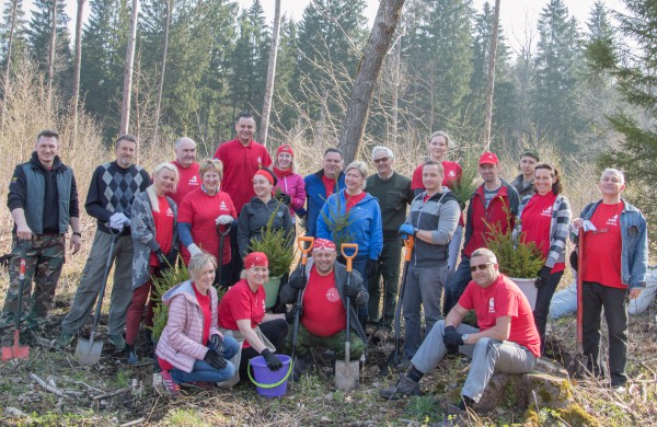 Lietuvos šimtmečiui – šimtas arų eglių jaunuolyno