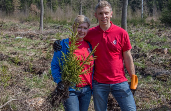 Lietuvos šimtmečiui – šimtas arų eglių jaunuolyno