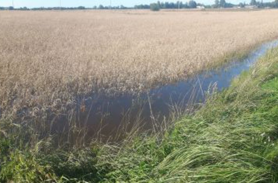 Atšaukta ekstremalioji situacija dėl meteorologinių reiškinių padarytos žalos žemės ūkio pasėliams