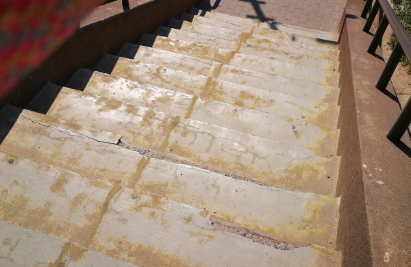 Miesto apžiūra: nuo supuvusios tvoros iki naujų aikštelių įrengimo