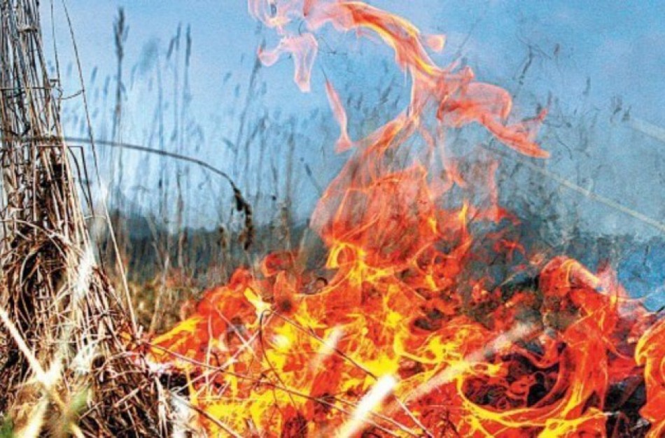 Dėl kibirkščiuojančių kulkų užsidegė sausa žolė