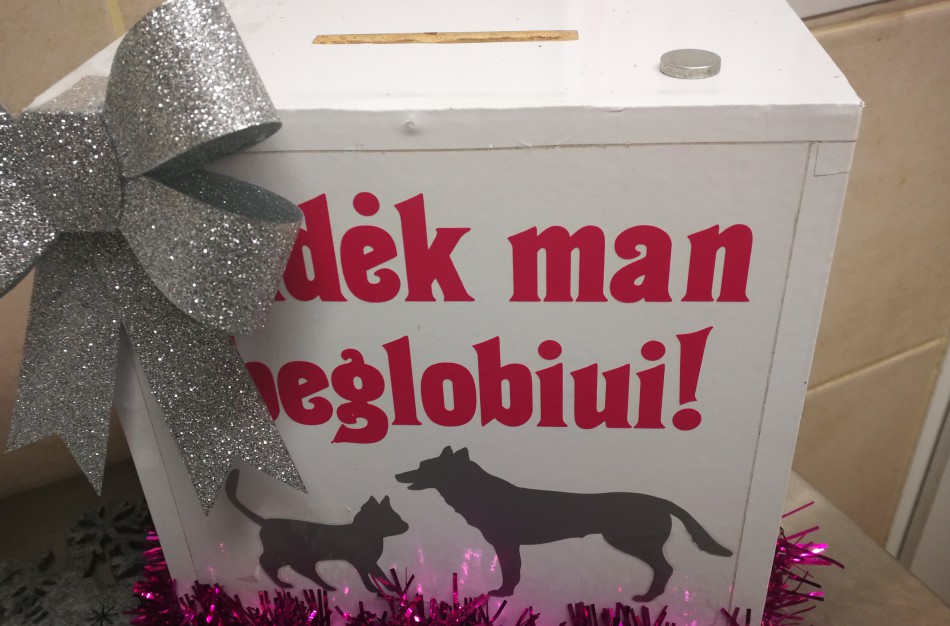 Gyvūnus prižiūrintys savanoriai: „Kodėl Jonavos biudžeto pinigai iškeliauja į Kauną?!“