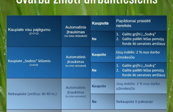 Vyriausybė pritarė pensijų kaupimo pertvarkai: svarbiausi aspektai dirbantiesiems