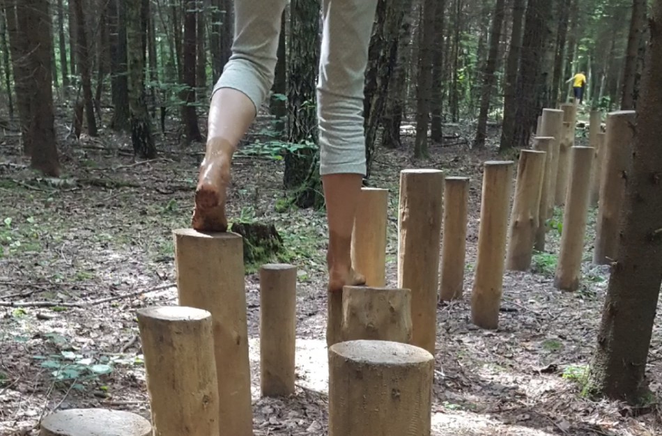 „Atviros dienos kaime“: susidomėjimas auga