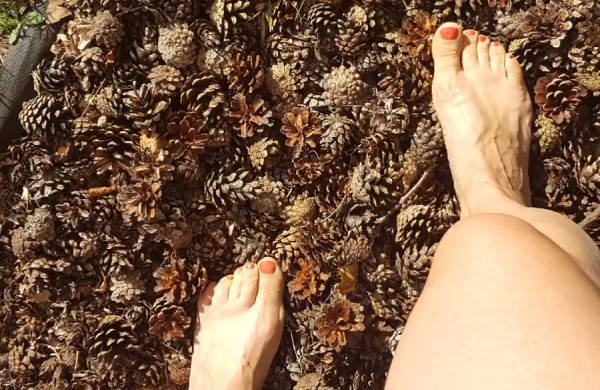 „Atviros dienos kaime“: susidomėjimas auga