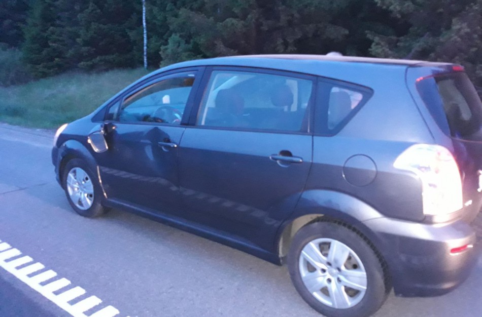 Pareigūnai primena - miškingose vietovėse mažinkime greitį 