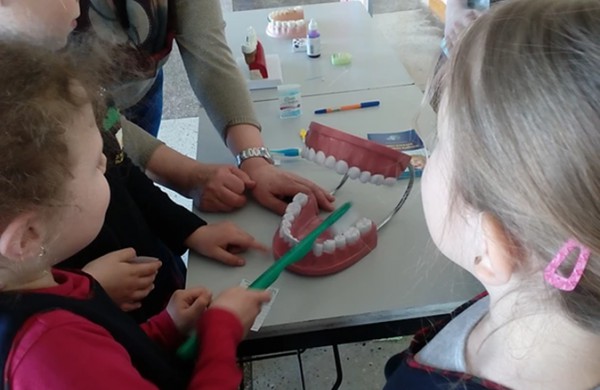 Jonavos „Neries“ pagrindinės mokyklos bendruomenė  laimėjo programos „Darni mokykla“ žaliąjį sertifikatą