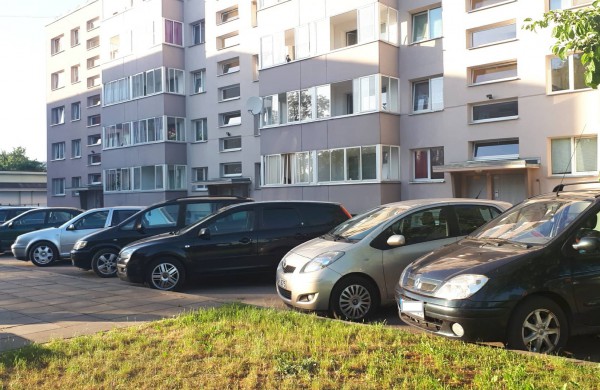 Ar asfaltas prastas ar grybai milžinai?