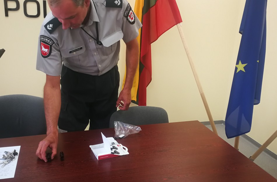 Per mėnesį rajone jau 7 eismo įvykiai dėl ant kelio iššokusių gyvūnų – kaip apsisaugoti?