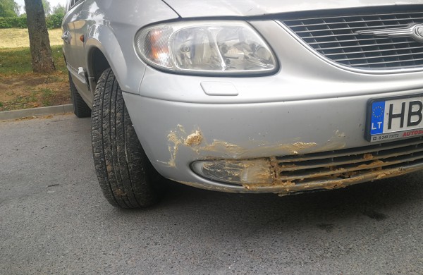 Dėl vandentiekio avarijos atsivėrusi smegduobė „prarijo“ automobilį 